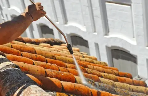 Nettoyage de toitures - Vif